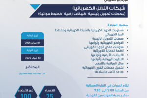 شبكات النقل الكهربائية